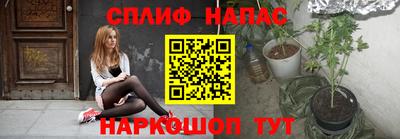 гидра Донецк