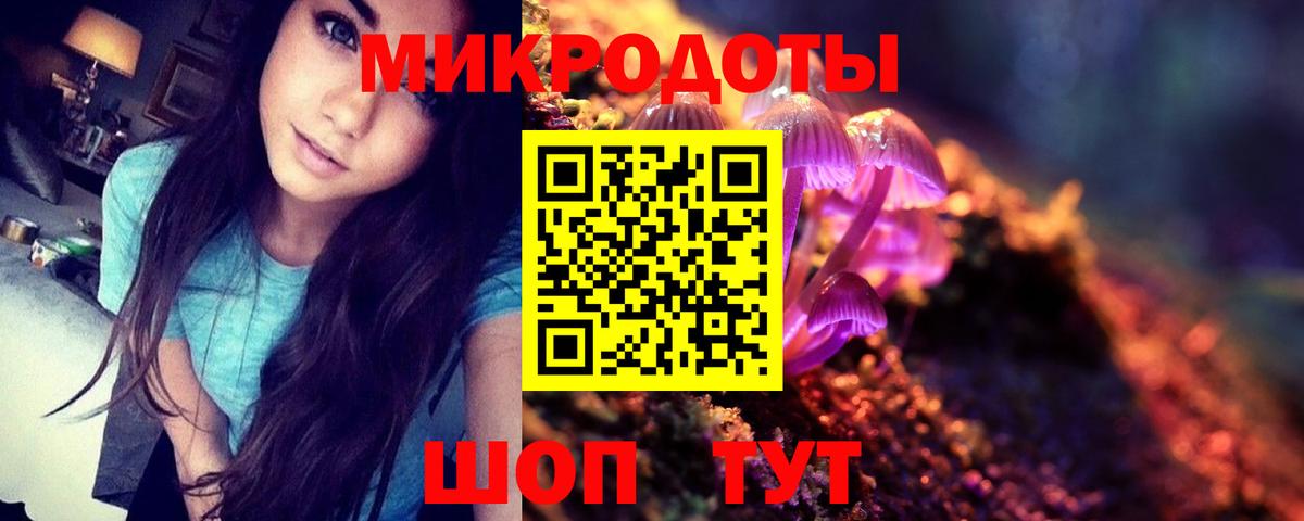 хочу   Вход с VPN  Каменка  Галлюциногенные грибы GOLDEN TEACHER 