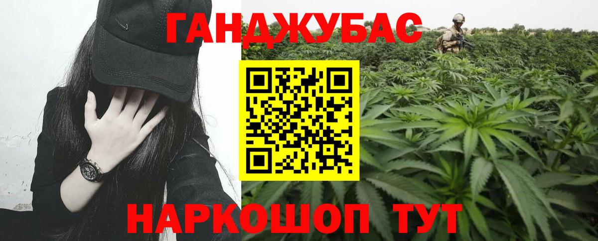 Каннабис OG Kush Каменка